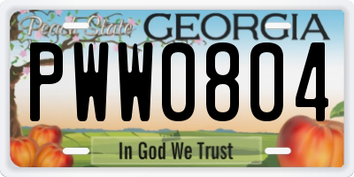 GA license plate PWW0804