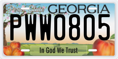 GA license plate PWW0805
