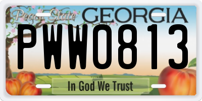GA license plate PWW0813
