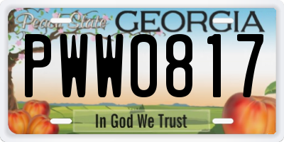 GA license plate PWW0817