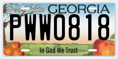 GA license plate PWW0818