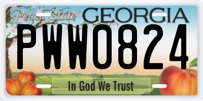 GA license plate PWW0824