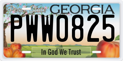 GA license plate PWW0825