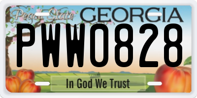 GA license plate PWW0828