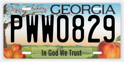 GA license plate PWW0829