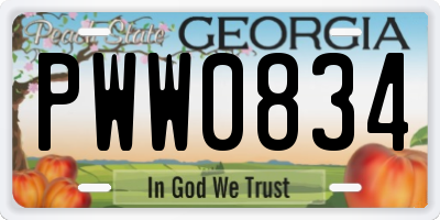 GA license plate PWW0834