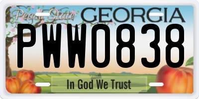 GA license plate PWW0838