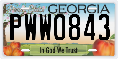 GA license plate PWW0843