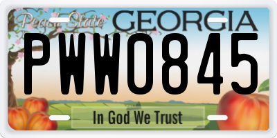 GA license plate PWW0845