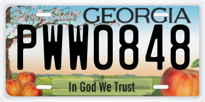 GA license plate PWW0848