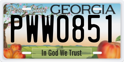 GA license plate PWW0851