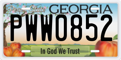 GA license plate PWW0852