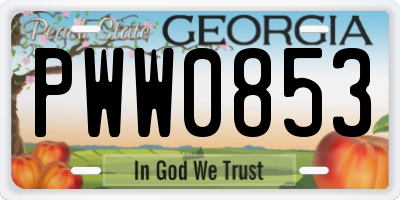 GA license plate PWW0853