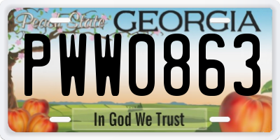 GA license plate PWW0863