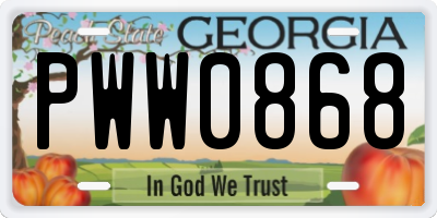GA license plate PWW0868