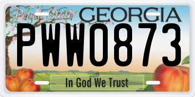 GA license plate PWW0873
