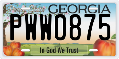 GA license plate PWW0875
