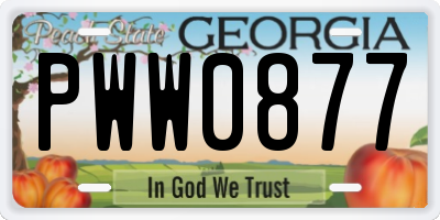 GA license plate PWW0877