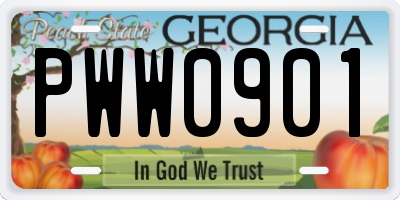 GA license plate PWW0901