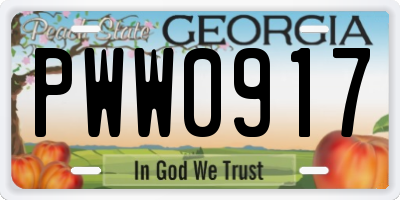 GA license plate PWW0917