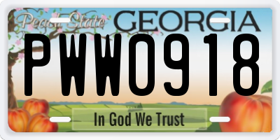 GA license plate PWW0918