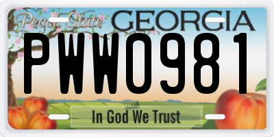 GA license plate PWW0981