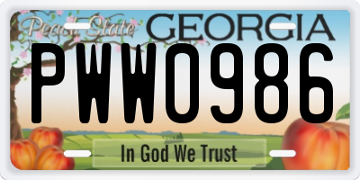 GA license plate PWW0986