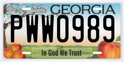 GA license plate PWW0989