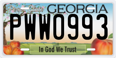 GA license plate PWW0993