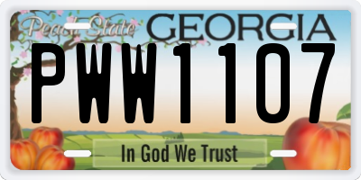 GA license plate PWW1107