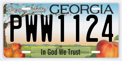 GA license plate PWW1124