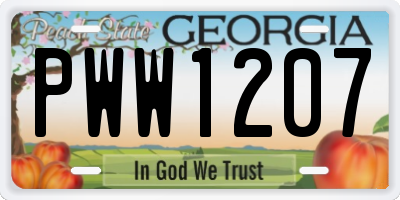 GA license plate PWW1207