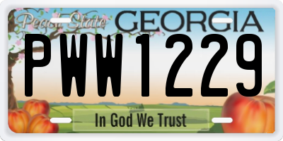 GA license plate PWW1229
