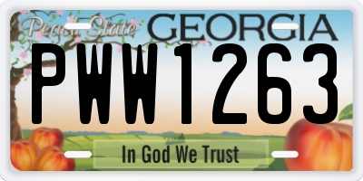 GA license plate PWW1263