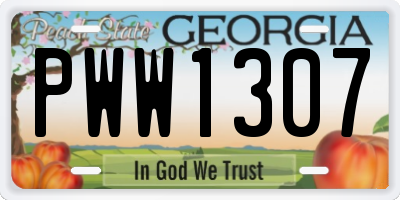 GA license plate PWW1307