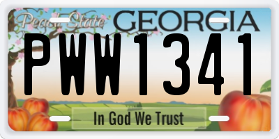 GA license plate PWW1341