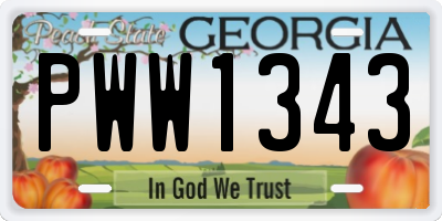 GA license plate PWW1343