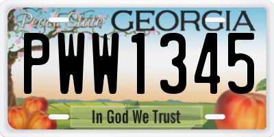 GA license plate PWW1345
