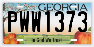GA license plate PWW1373