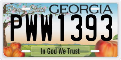GA license plate PWW1393