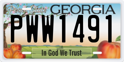 GA license plate PWW1491