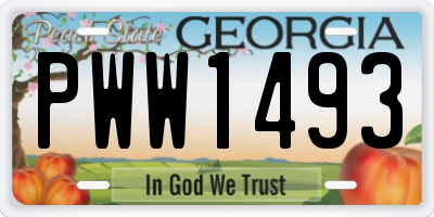 GA license plate PWW1493