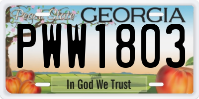 GA license plate PWW1803