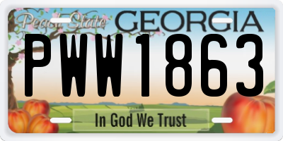GA license plate PWW1863
