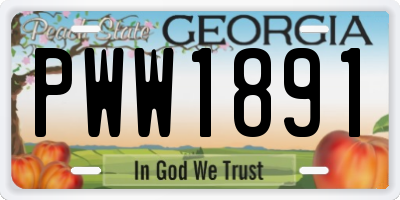 GA license plate PWW1891
