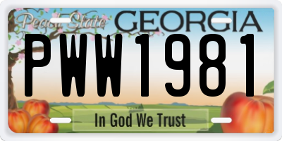 GA license plate PWW1981