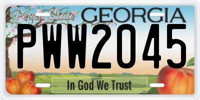 GA license plate PWW2045
