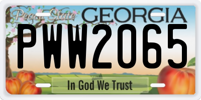 GA license plate PWW2065