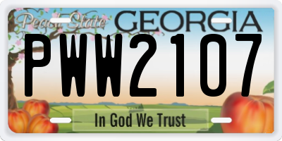 GA license plate PWW2107
