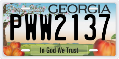 GA license plate PWW2137